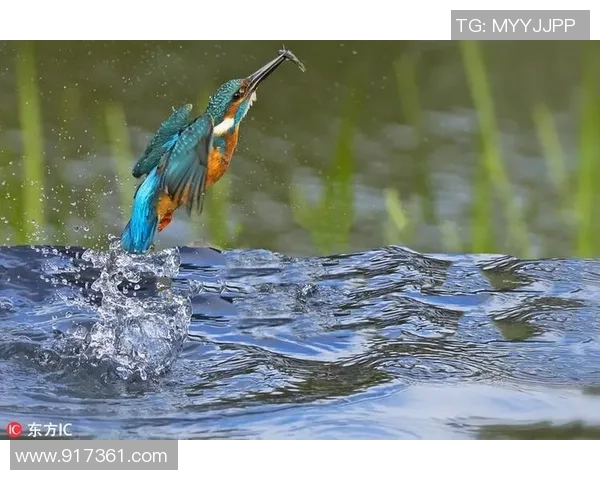 足球明星闭眼瞬间的精彩合集与美丽画面欣赏